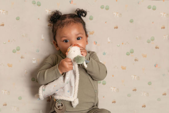 Little Dutch Schmusetuch Little Farm