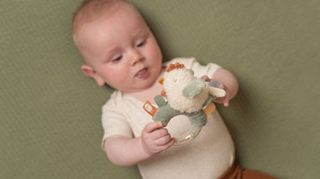 Little Dutch Ringrassel Huhn