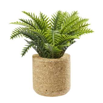 Wichtelzubehör Palm Pflanze