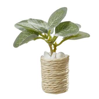 Wichtelzubehör Zimmerpflanze