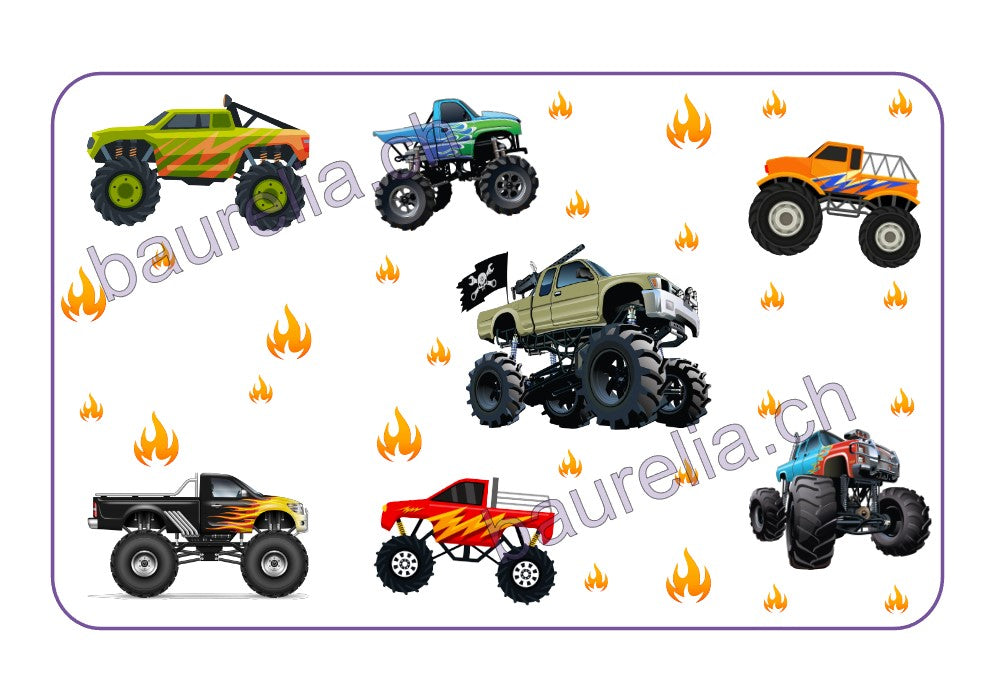 Baurelia Box Inlay bedruckt Auto 4