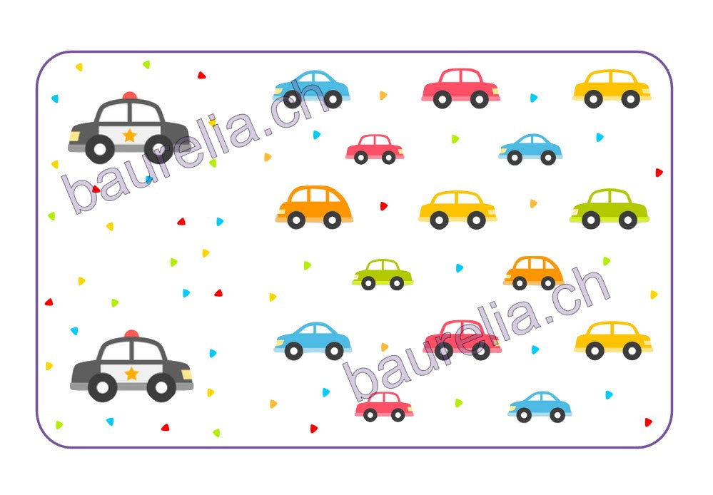 Baurelia Box Inlay bedruckt Auto 6