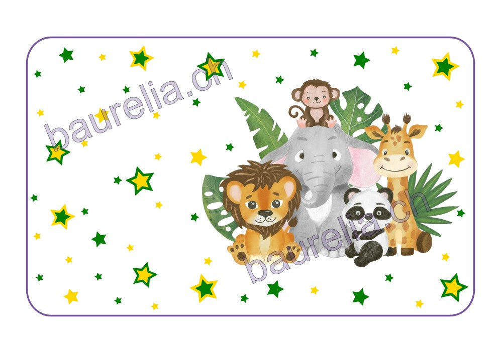 Baurelia Box Inlay bedruckt Friends 2