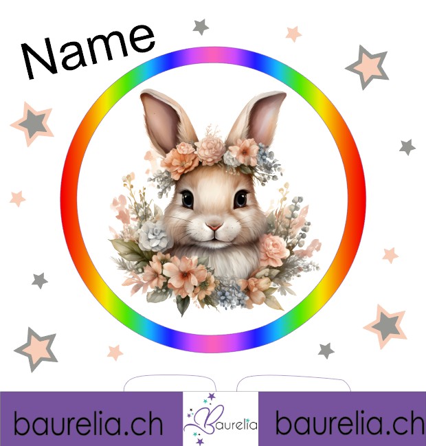 Schutzfolie Toniebox 2 Hase 12