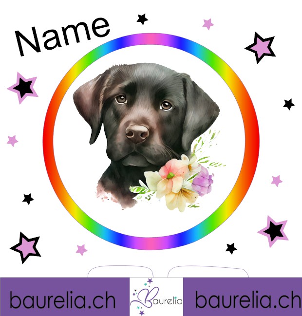 Schutzfolie Toniebox 2 Hund 2