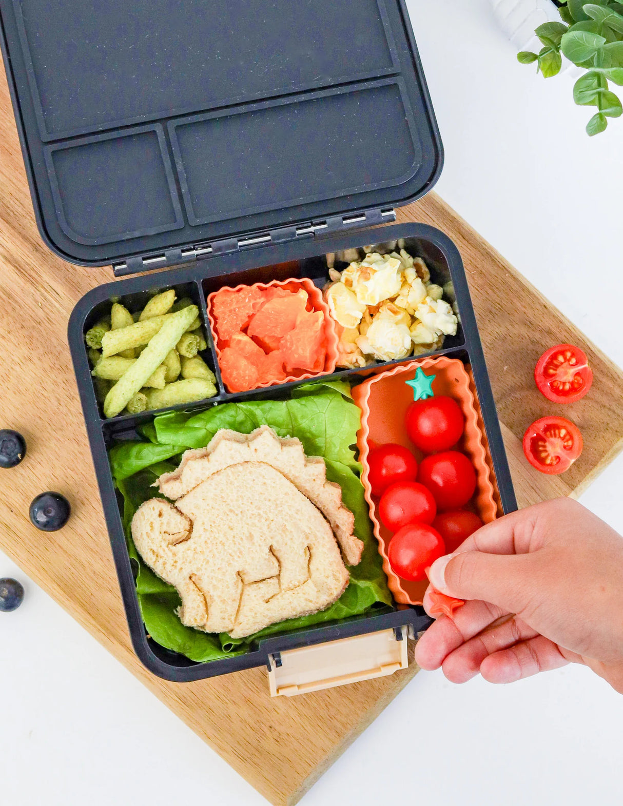 Silikonformen MontiiCo Bento Cups 3er Set Tangerine