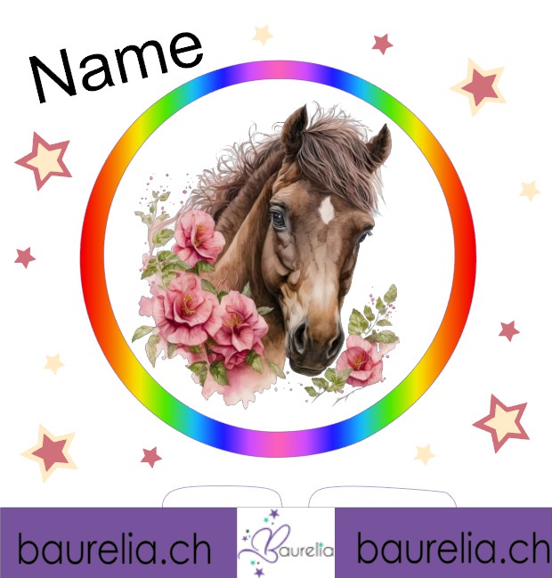 Schutzfolie Toniebox 2 Pferd 8