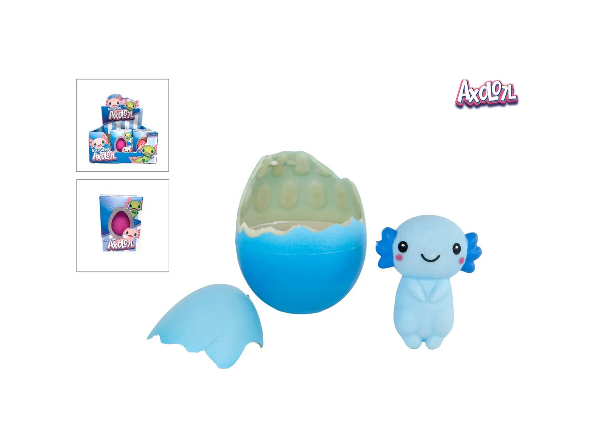 Wachsender Axolotl im Ei assortiert