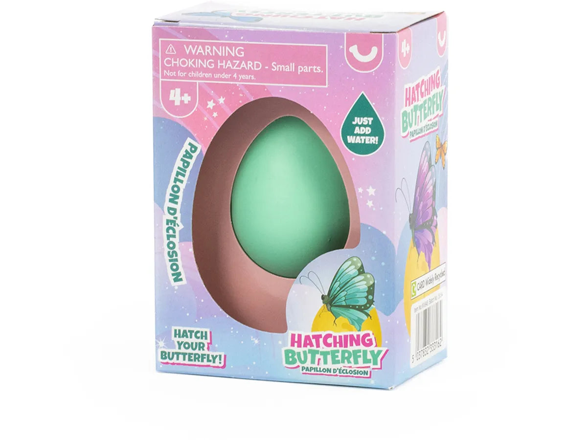 Wachsender Schmetterling im Ei