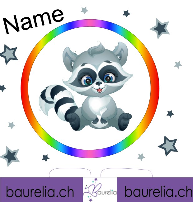 Schutzfolie Toniebox 2 Waschbär 1