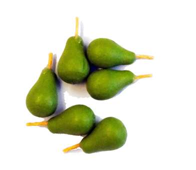 Wichtelzubehör Birnen