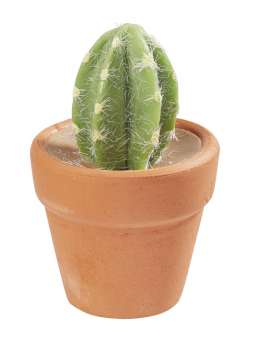 Wichtelzubehör Kaktus Mini im Topf