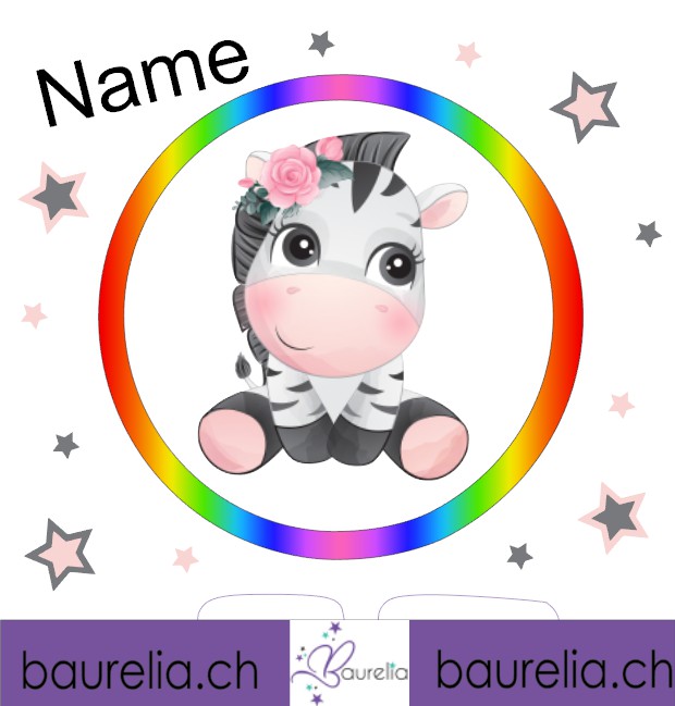 Schutzfolie Toniebox 2 Zebra 6