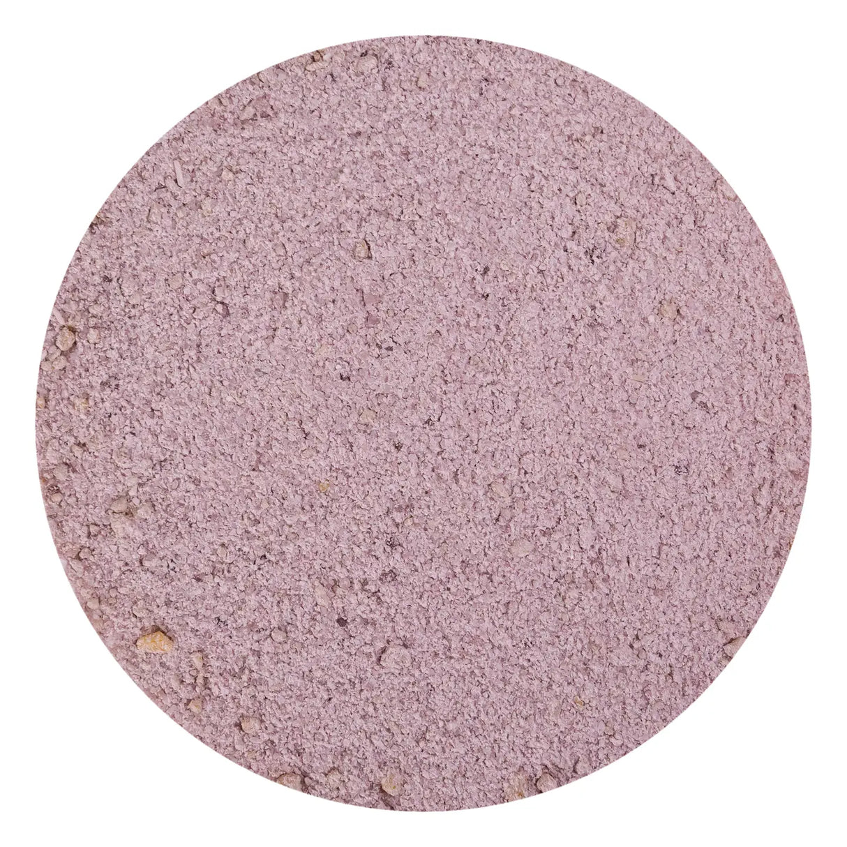 Badevulkan Drache & Frosch