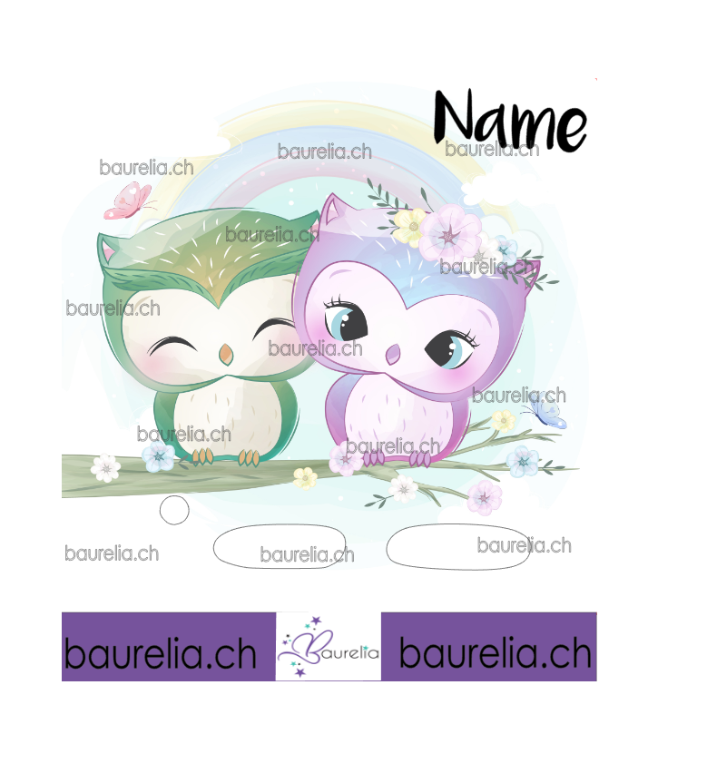 Schutzfolie Toniebox Eule 4