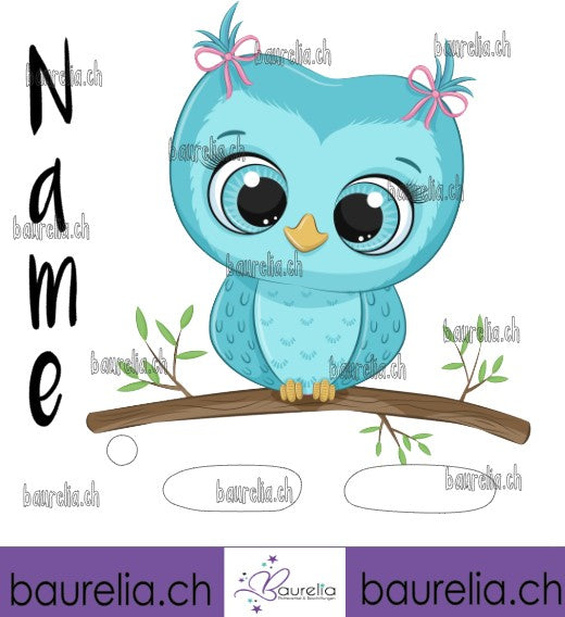 Schutzfolie Toniebox Eule 1