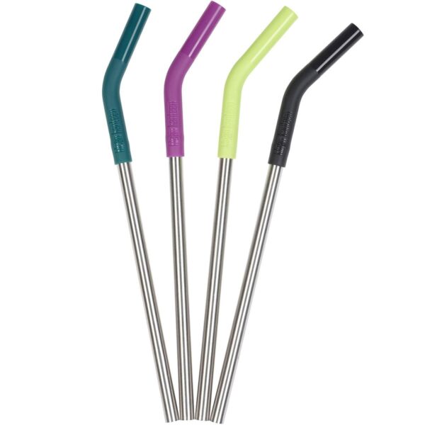 Trinkhalme Klean Kanteen 8mm 4 Stück