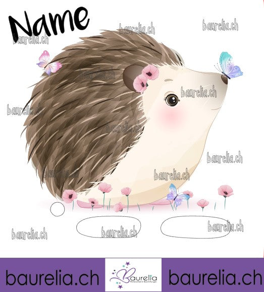 Schutzfolie Toniebox Igel 1