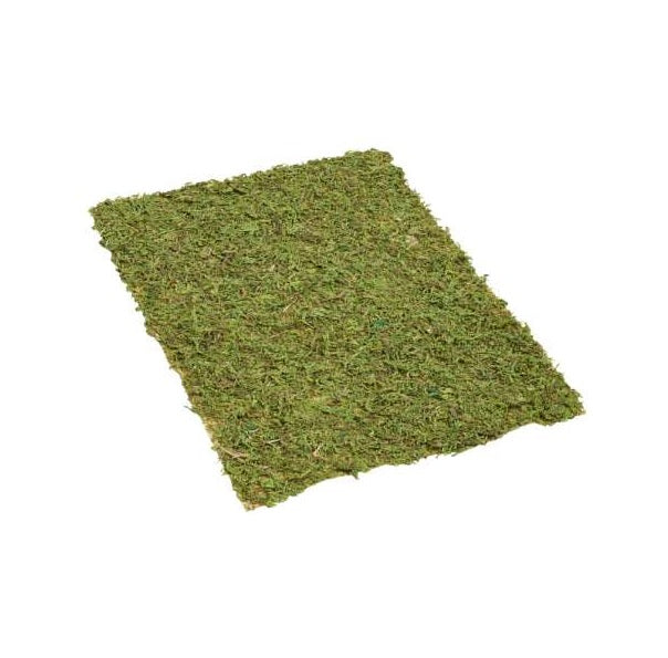 Wichtelzubehör Moos Matte 20x30cm