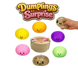 Dumpling Surprise assortiert