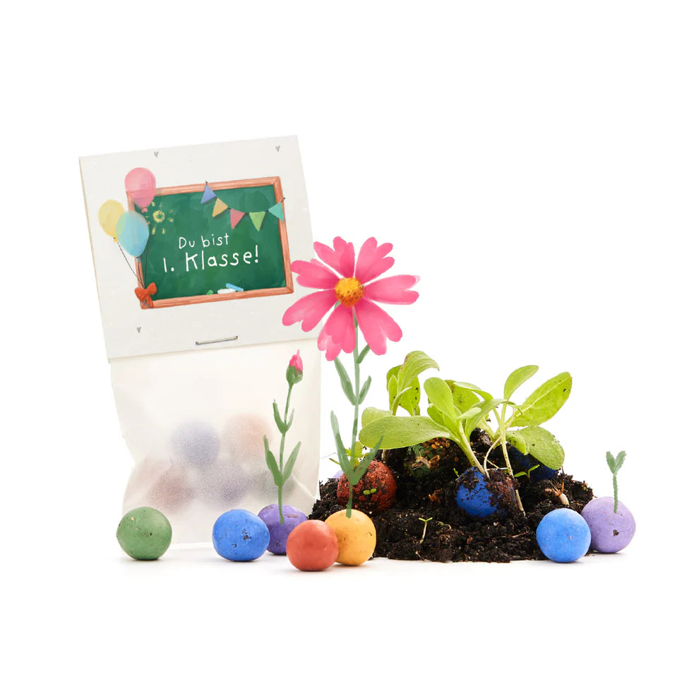 Blumenmurmel Du bist 1.Klasse!
