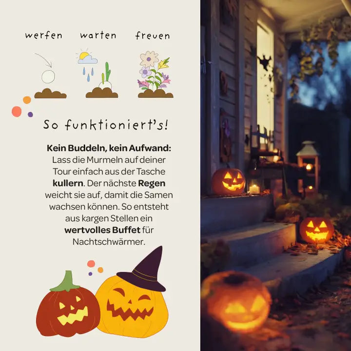Saatpille Halloween Süsses oder Saures Orange