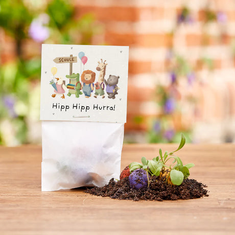 Blumenmurmel Hipp Hipp Hurra