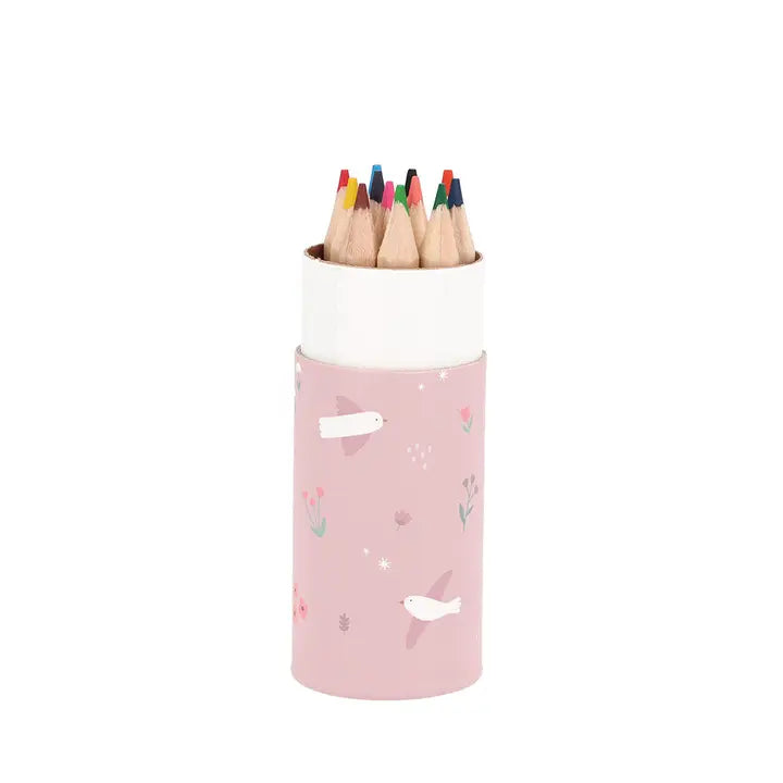 Mini Farbstifte Dose Vogel Rosa