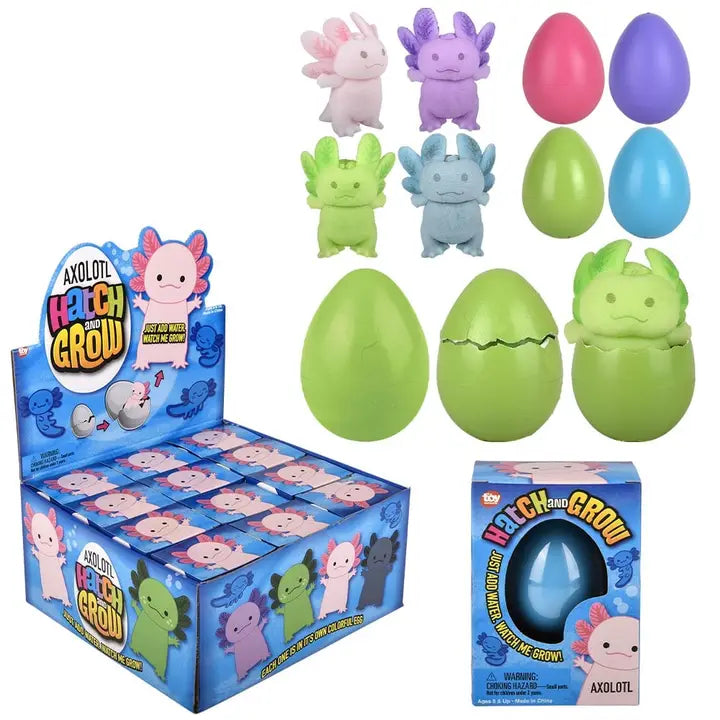 Wachsendes Ei Axolotl