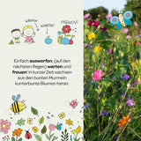 Blumenmurmel 100 Stück in Dose