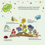 Blumenmurmel 100 Stück in Dose