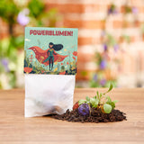 Blumenmurmel Powerblumen