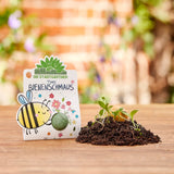 Blumenmurmel Timos Bienenschmaus