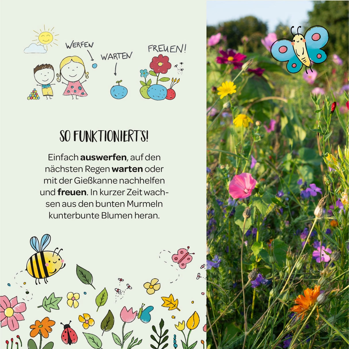 Blumenmurmel Timos Bienenschmaus
