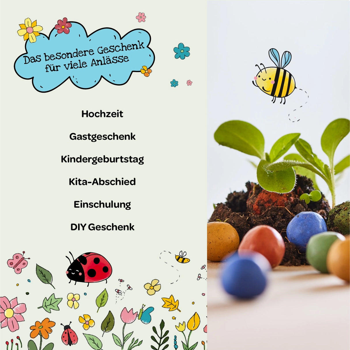 Blumenmurmel Ellas Schmetterlingswiese
