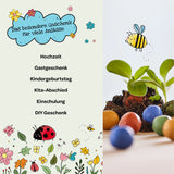 Blumenmurmel Frühlingsgruss