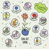 Blumenmurmel Viel Glück!