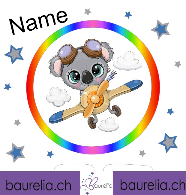 Schutzfolie Toniebox 2 Flieger 1