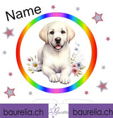 Schutzfolie Toniebox 2 Hund 3