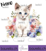 Schutzfolie Toniebox Katze 14