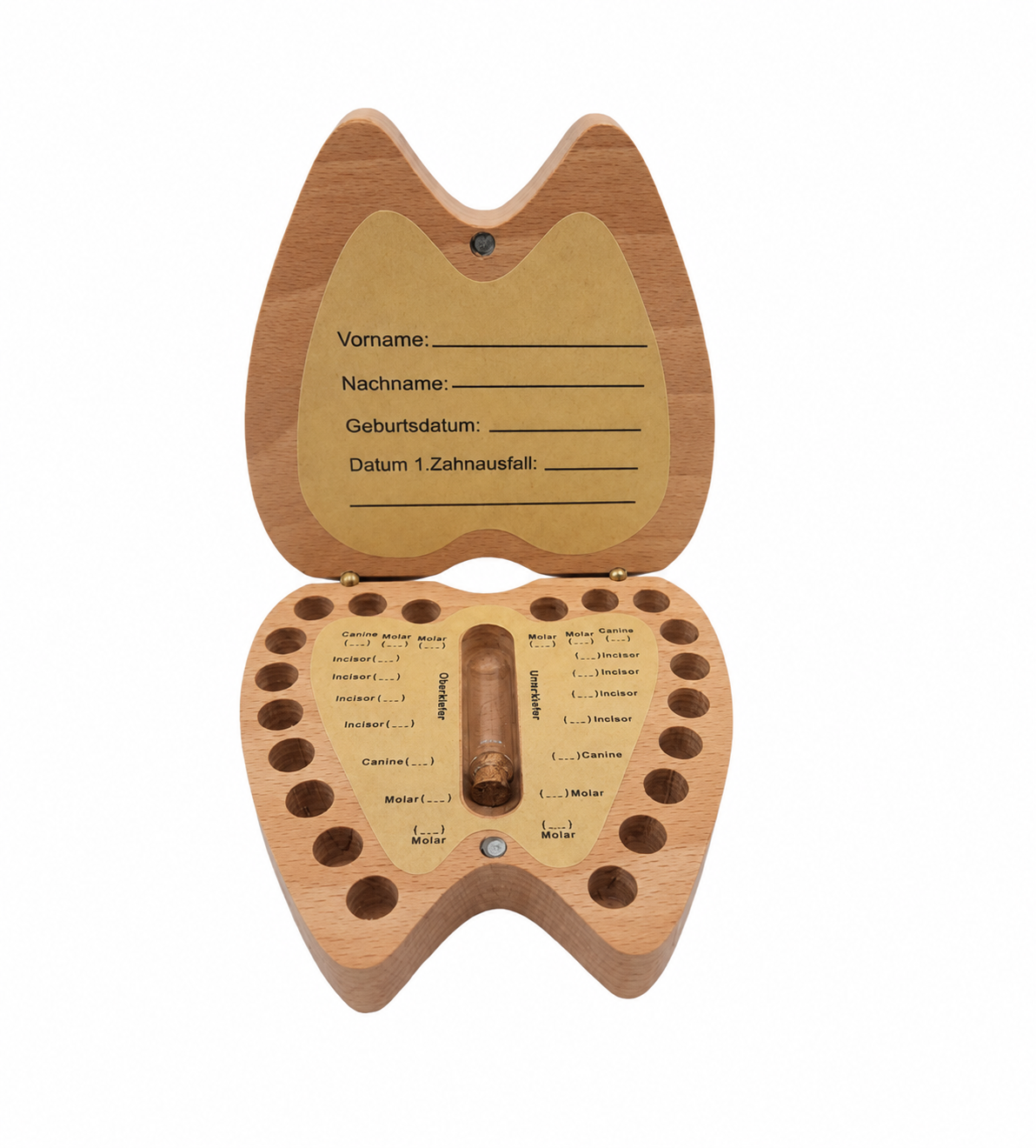 Milchzahndose Zahnbox