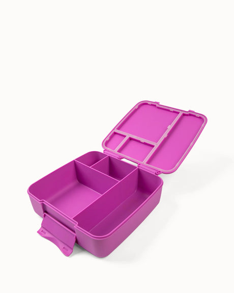 Znünibox MontiiCo Lunchbox Bento Feast Fuchsia