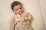 Little Dutch Ringrassel Hase