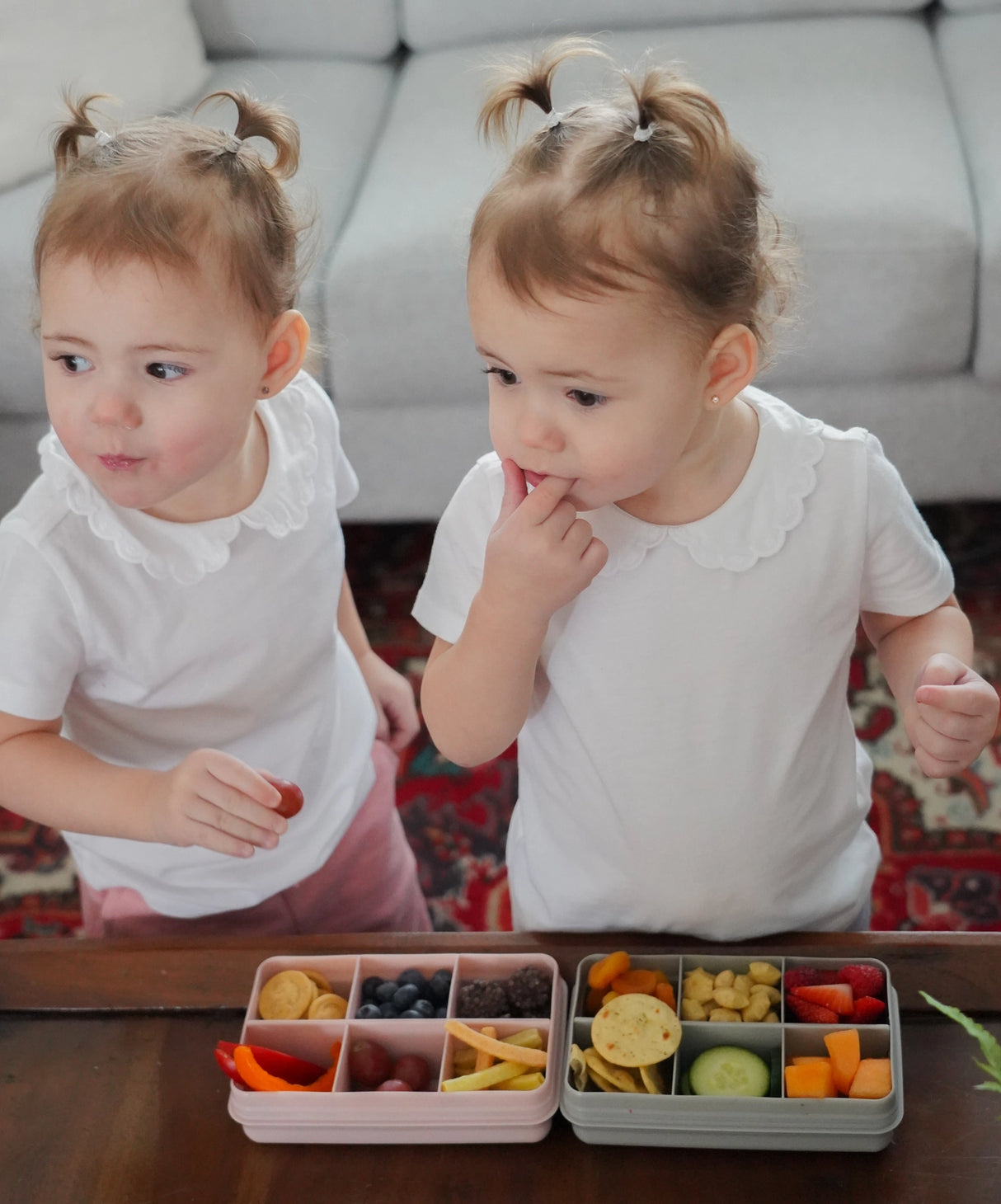 Znünibox Snackbox Melii mit 6 Unterteilungen Weiss