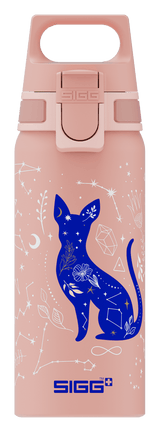 Kinder Trinkflasche Sigg WMB Universe