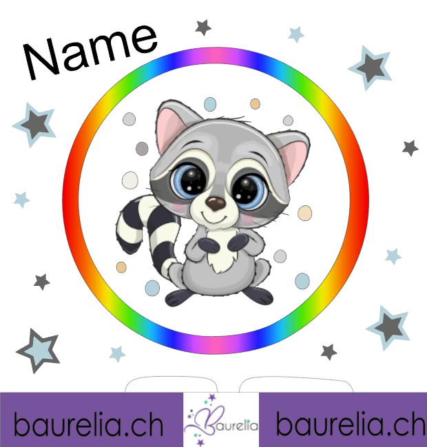 Schutzfolie Toniebox 2 Waschbär 8