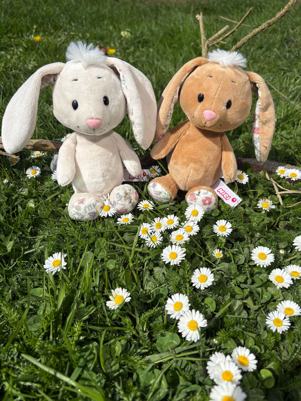 Kuscheltier Nici Hase 20cm Beige
