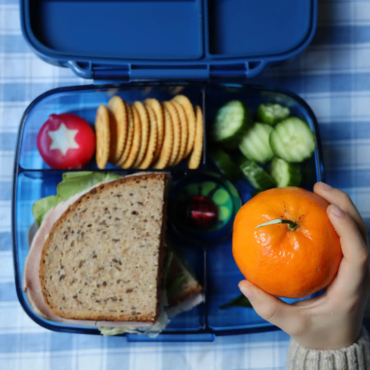 Znünibox Yumbox GO Dunkelblau