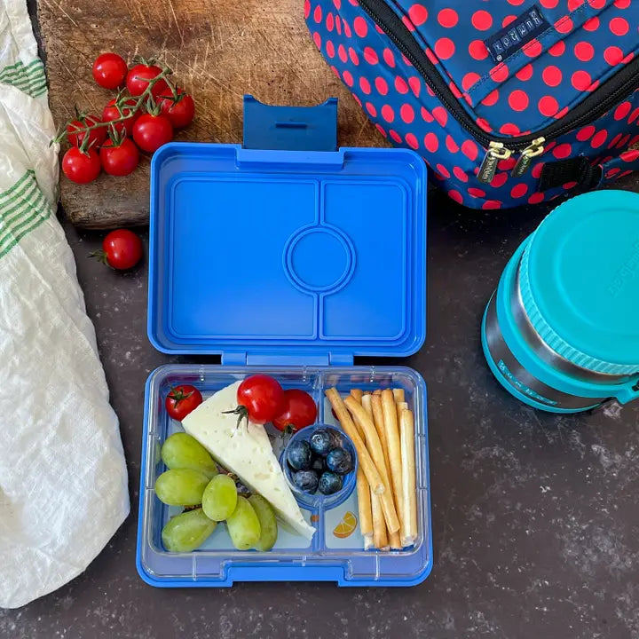 Znünibox Yumbox Mini Snack Surf Blue Dinosaurier