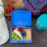 Znünibox Yumbox Mini Snack Surf Blue Dinosaurier